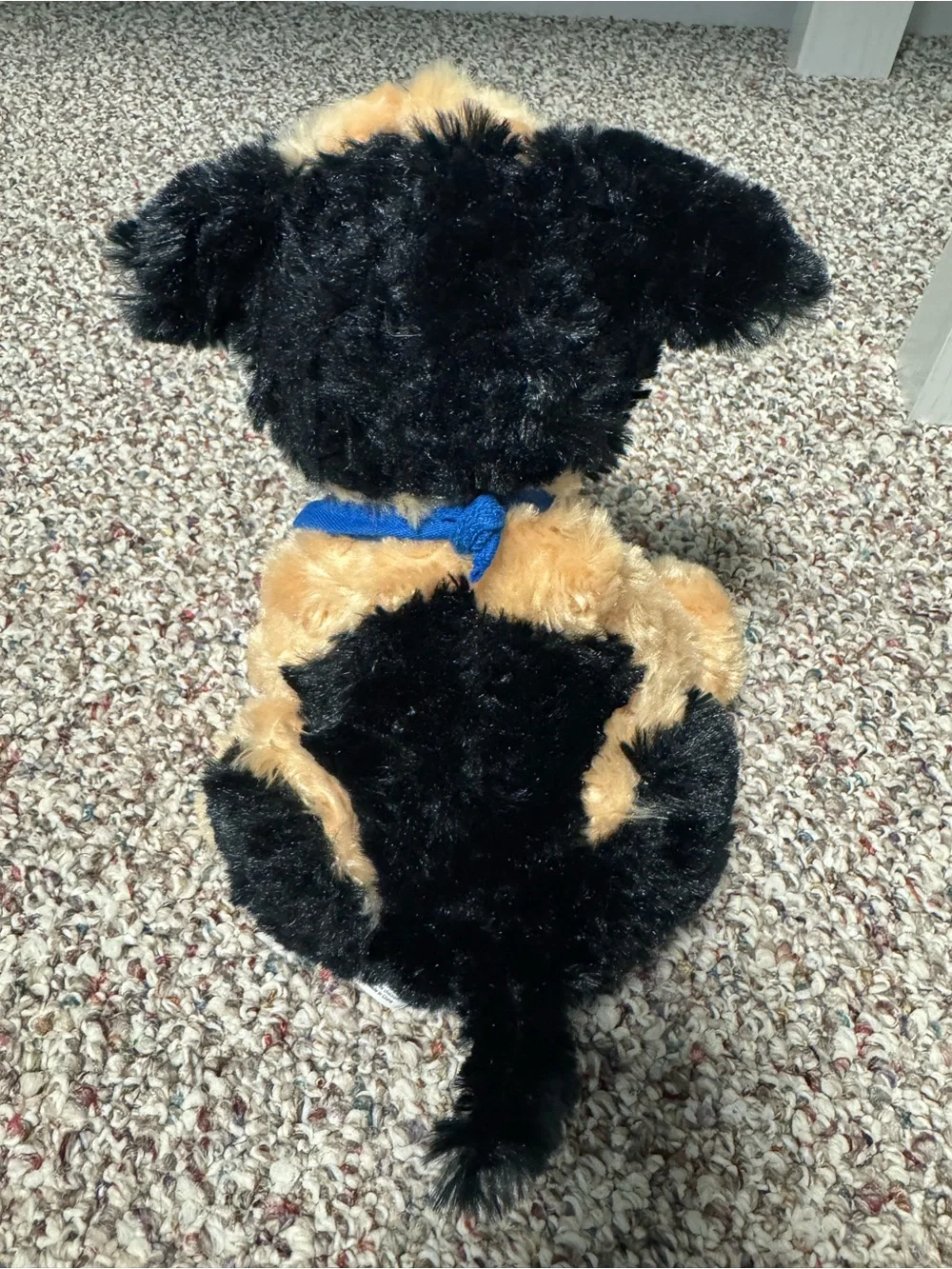Hofstra Plush stuffed animal with Blue Bandana